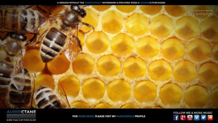 Cinematic Nature Music for Documentaries "Mother Nature" - Royalty-Free -