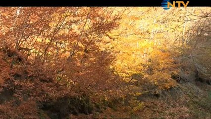 Doğada Tek Başına - Dağ Evi 1. Bölüm (08.02.2012)