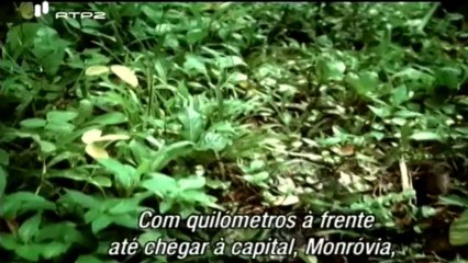 Historia Secreta dos Diamantes - The Secret History of Diamonds - RTP2