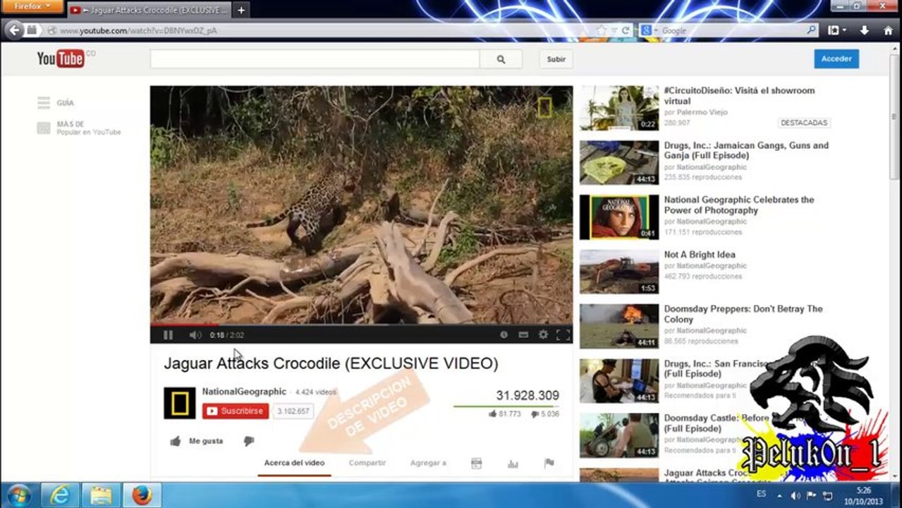 Firefox - problema y Solucion de flash player