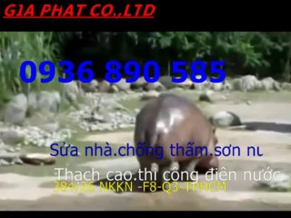 Tho chong tham dot nha o tai quan 3-DV/0936 890585