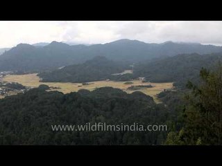 Whole villages seen from the the peak: Ziro Valley overview