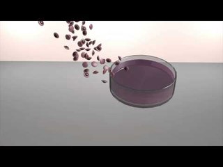 Dutch researchers grow world's first test tube hamburger