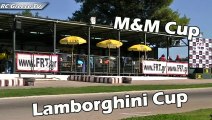 #8 - M&M - Lamborghini Cup - 2nd Race - Cataman's RC Show