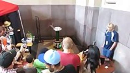 Tesla Coil plays Sail by Awolnation