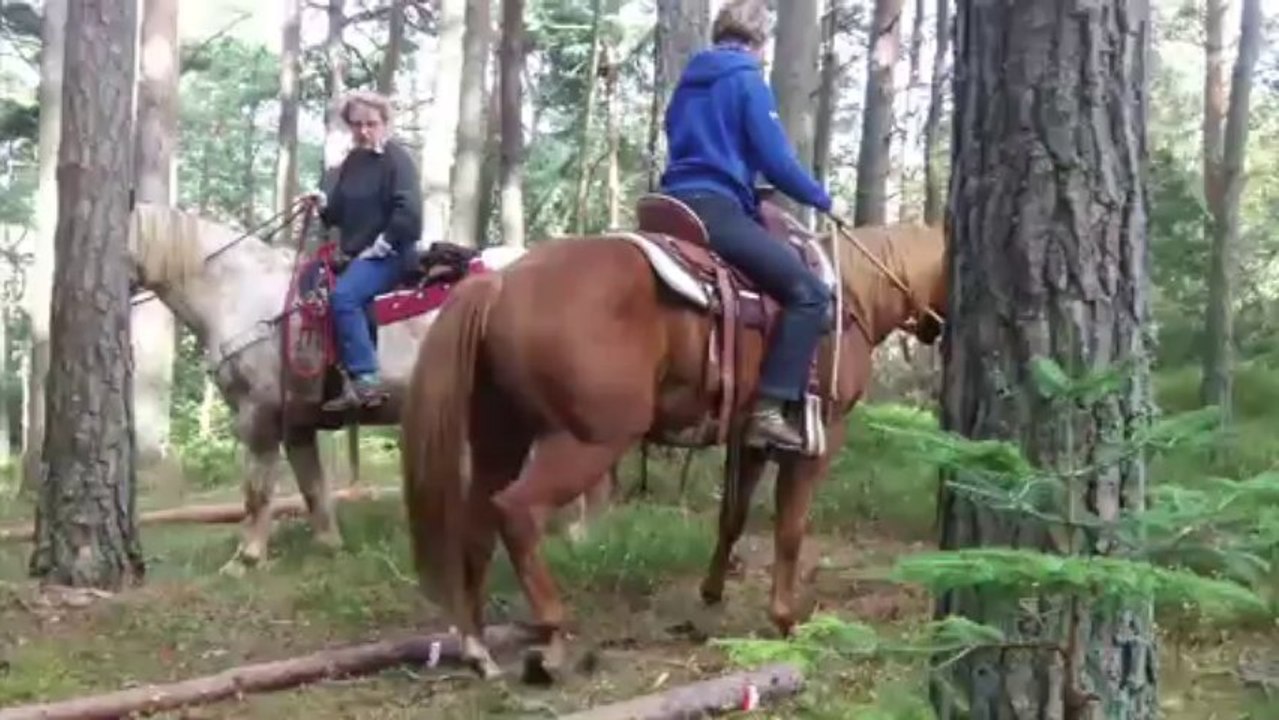 Parcours de ranch-trail
