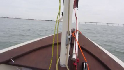 Une Gazelle des Sables à l'Ile de Ré