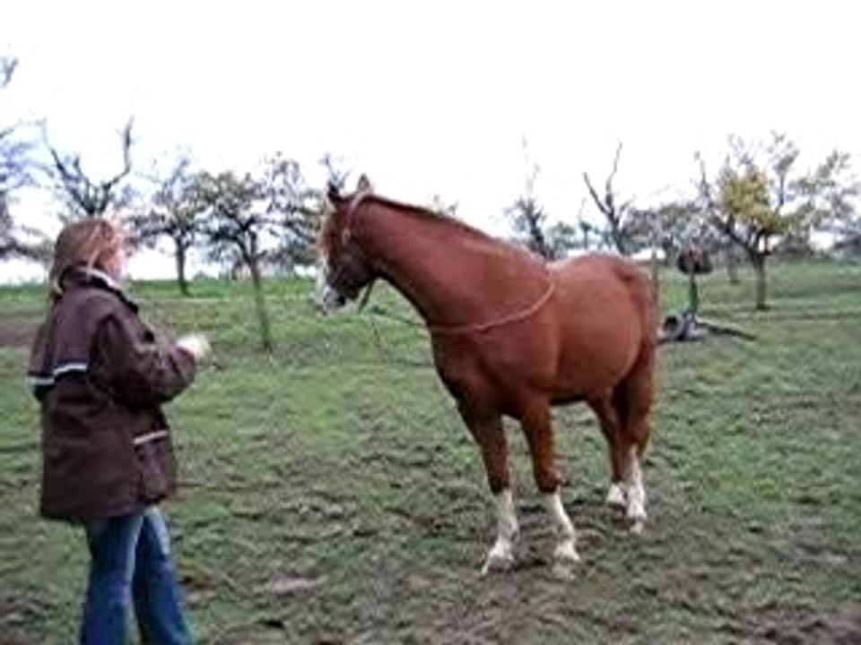 Caraibe secoue la tete acte 1