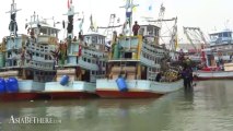 Fishing boats in Pranburi river by Hua Hin Discovery Sea trip