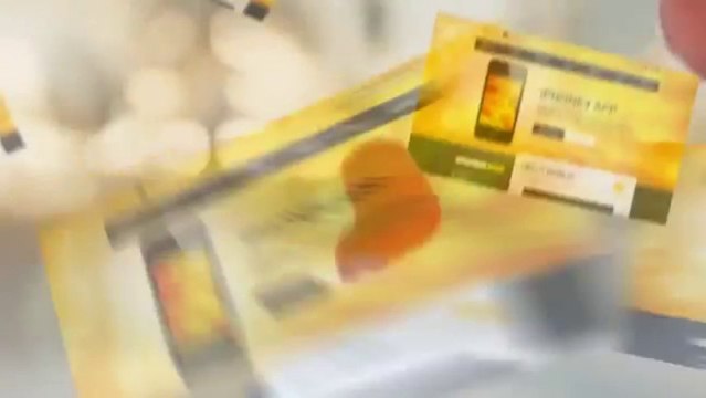 WordPress Themes Developer License