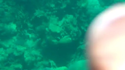 Raies à Bourail Nouvelle caledonie Vallee