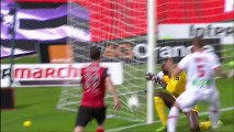 But Benjamin ANDRE (41ème) - EA Guingamp - AC Ajaccio (2-1) - 2013/2014