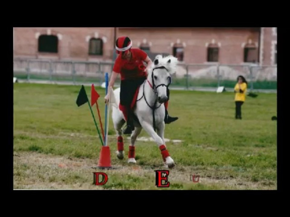 Pony games