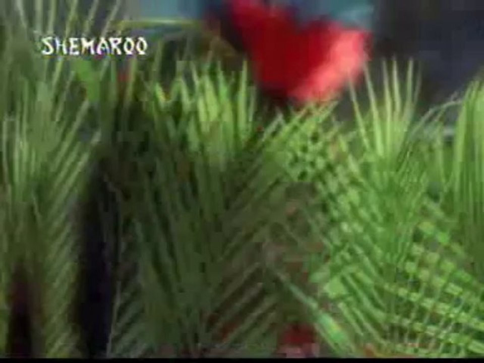 O Babul Pyare - Johny Mera Naam