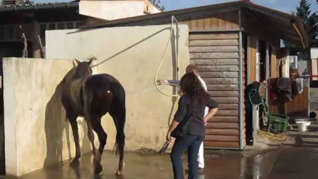 Ultime Turgot le 27/10/2013