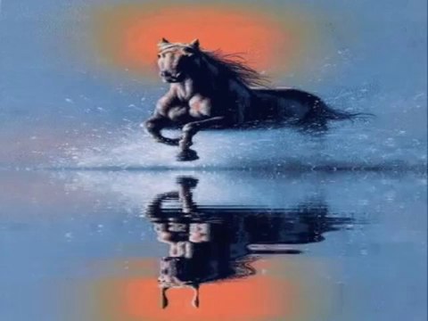 Erkan Oğur. Bende Bu Yayladan Şaha Giderim(Pir Sultan Abdal)