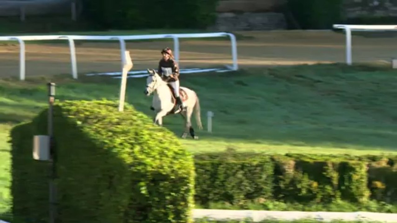 Vodka Pompadour Poney CROSS 22.09.13