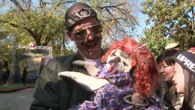 New York: Parade de déguisements d'Halloween pour chiens