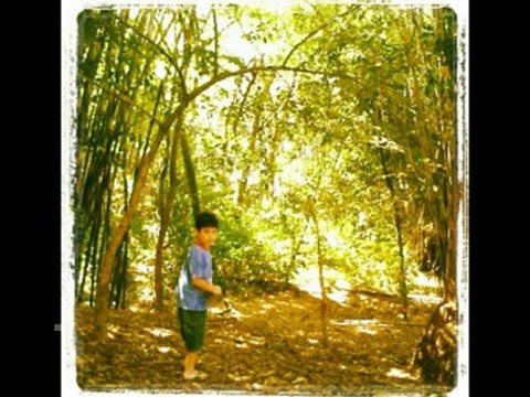 ISAIAS CAP 27 - A BÍBLIA NA LINGUAGEM DE HOJE