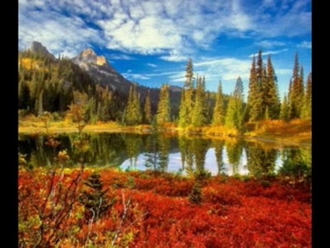 ISAIAS CAP 39 - A BÍBLIA NA LINGUAGEM DE HOJE