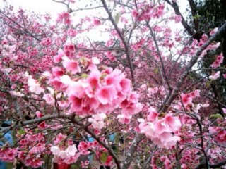 ISAIAS  CAP  47 - A BÍBLIA NA LINGUAGEM DE HOJE