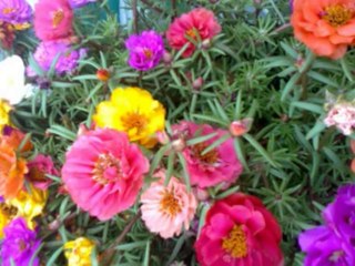 ISAIAS  CAP 48  - A BÍBLIA NA LINGUAGEM DE HOJE