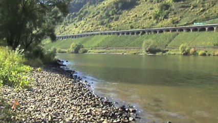 Enspannungsvideo mit Zügen und Schiffen beim Pündericher Viadukt an der Mosel, 185, 143, 426, 628