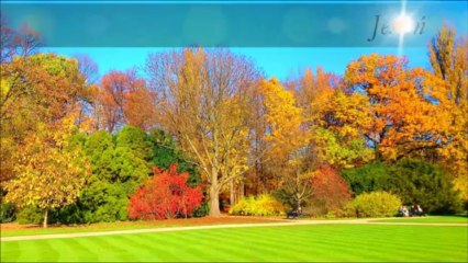 Xperia Z1 - Złota Polska Jesień