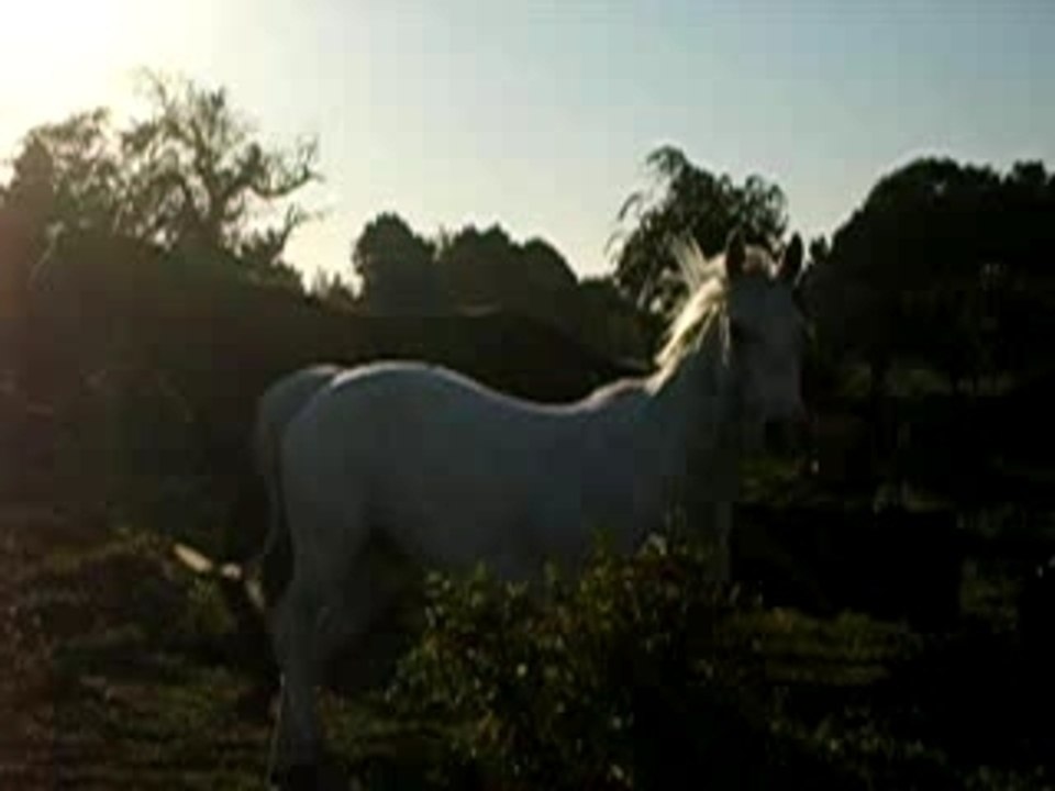 DSCN3734