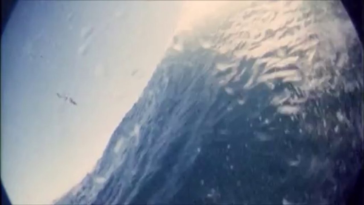 The Crystal Voyager