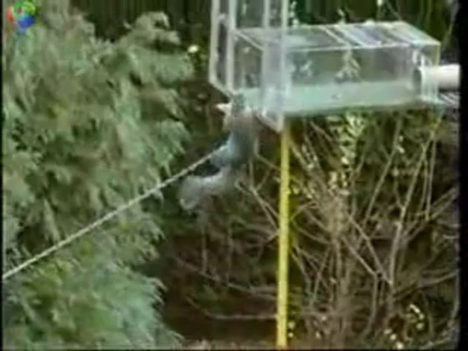 Mission Impossible