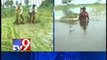 Farmers use boats to harvest crops submerged in rain water