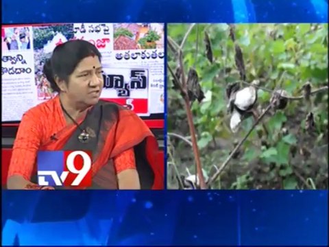 Politicians make empty promises to farmers affected by rain - Part 2