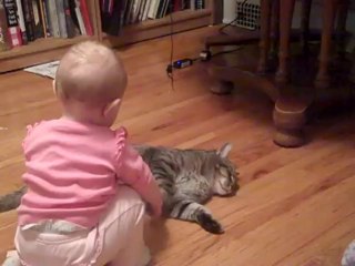 The most patient and docile cat ever!
