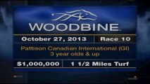 27.10.2013 Woodbine (CAN) 10.Race Pattison Canadian International Stakes 2013 - Group I 2.414 m