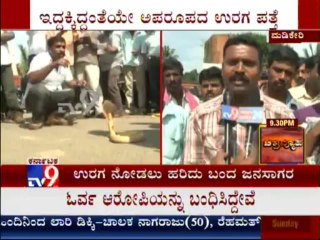 TV9 News: Madikeri: Rare White Cobra Found in Gonikoppal