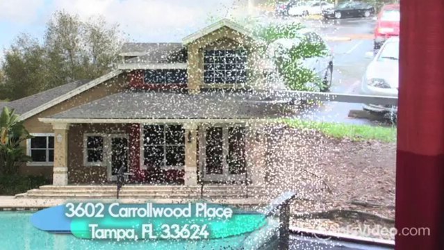 Sabal Palm at Carrollwood Place Apartments in Tampa, FL - ForRent.com
