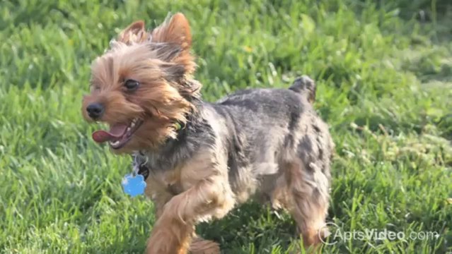 Sunset Rocklin Apartments in Rocklin, CA - ForRent.com