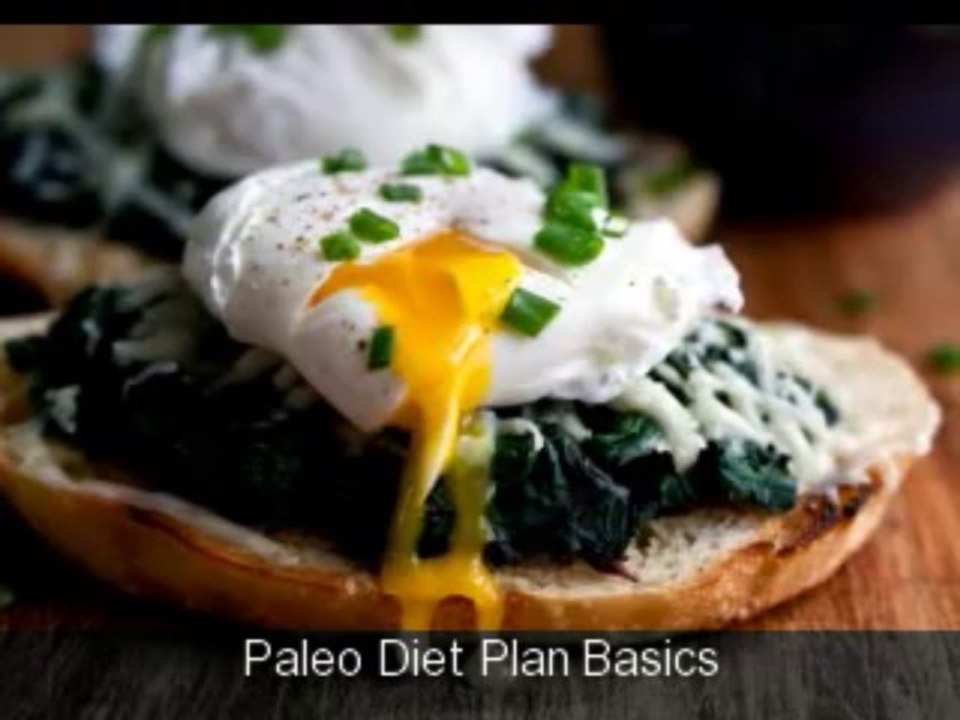 Paleo Diet Plan Basics