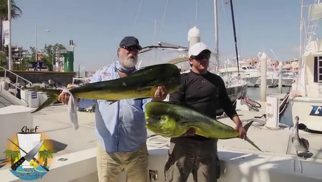 Une otarie vole un poisson des mains du pécheur...pendant sa séance photo. ENORME.