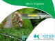 Keesen Crop Management : micro irrigation system, Agriculture, Irrigation