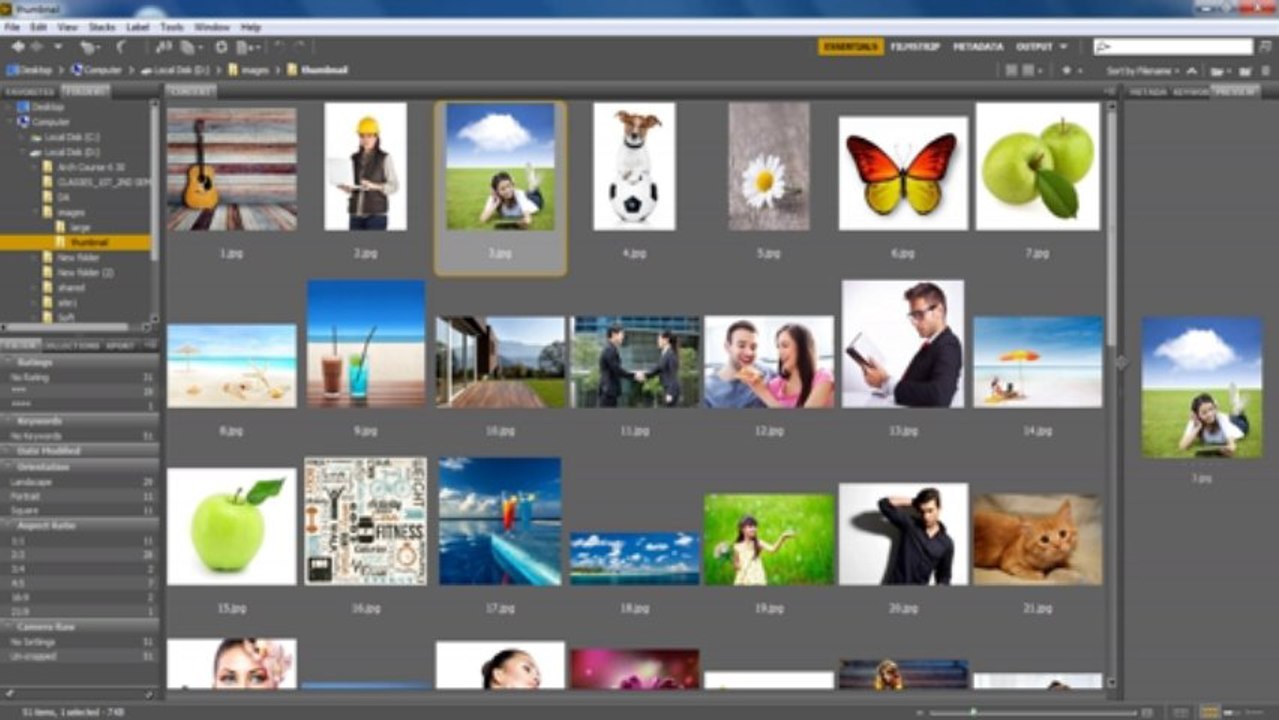 adobe_bridge