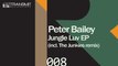 Peter Bailey - Jungle Luv (Original Mix) [Transmit Recordings]
