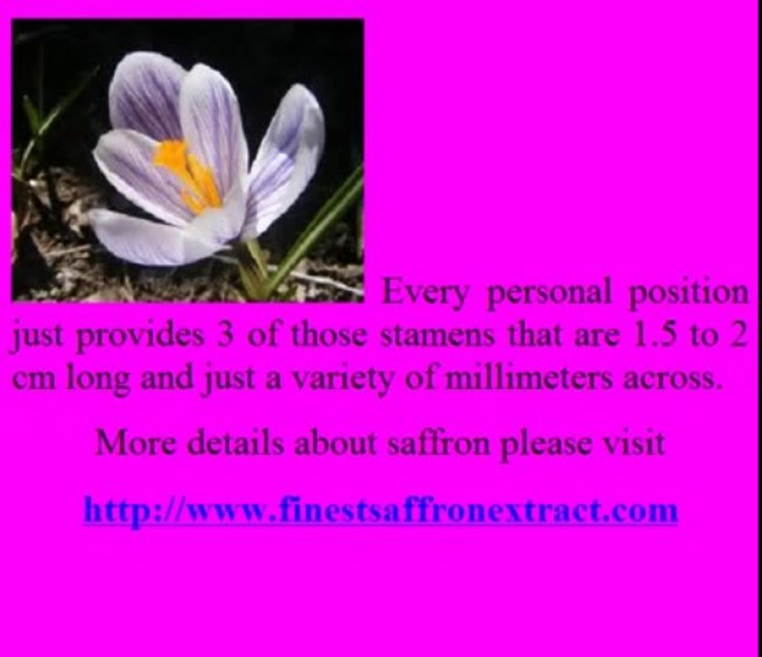 Saffron extract Review