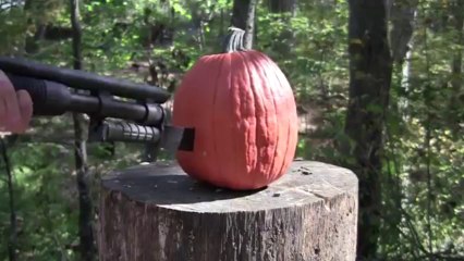 Vous n'aimez pas Halloween? Lui non plus!