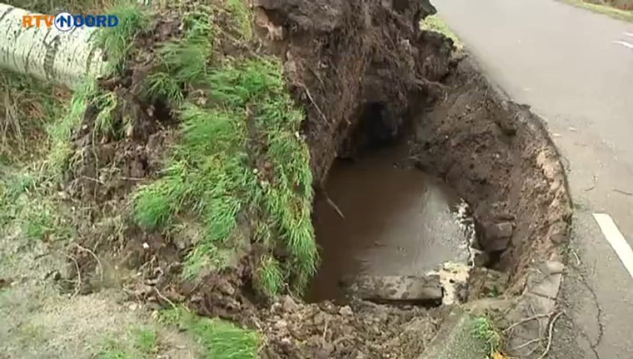 Omgevallen bomen in Groningen-Zuid - RTV Noord