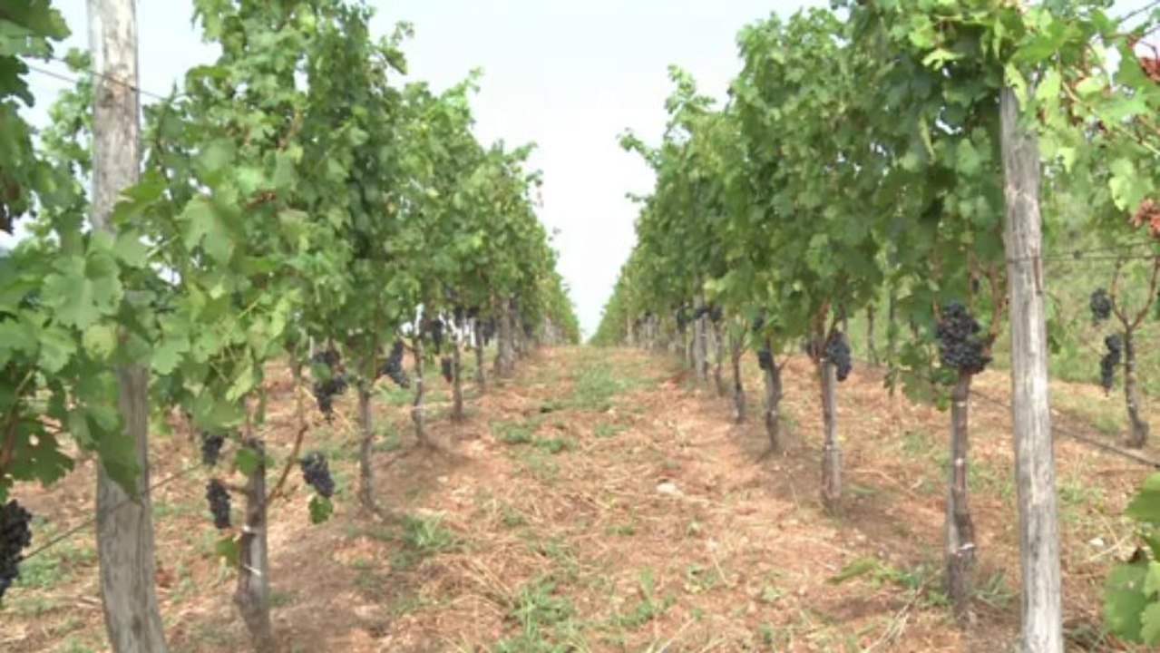 Jahrhundert-wasserprojekt in china schafft riesen-probleme