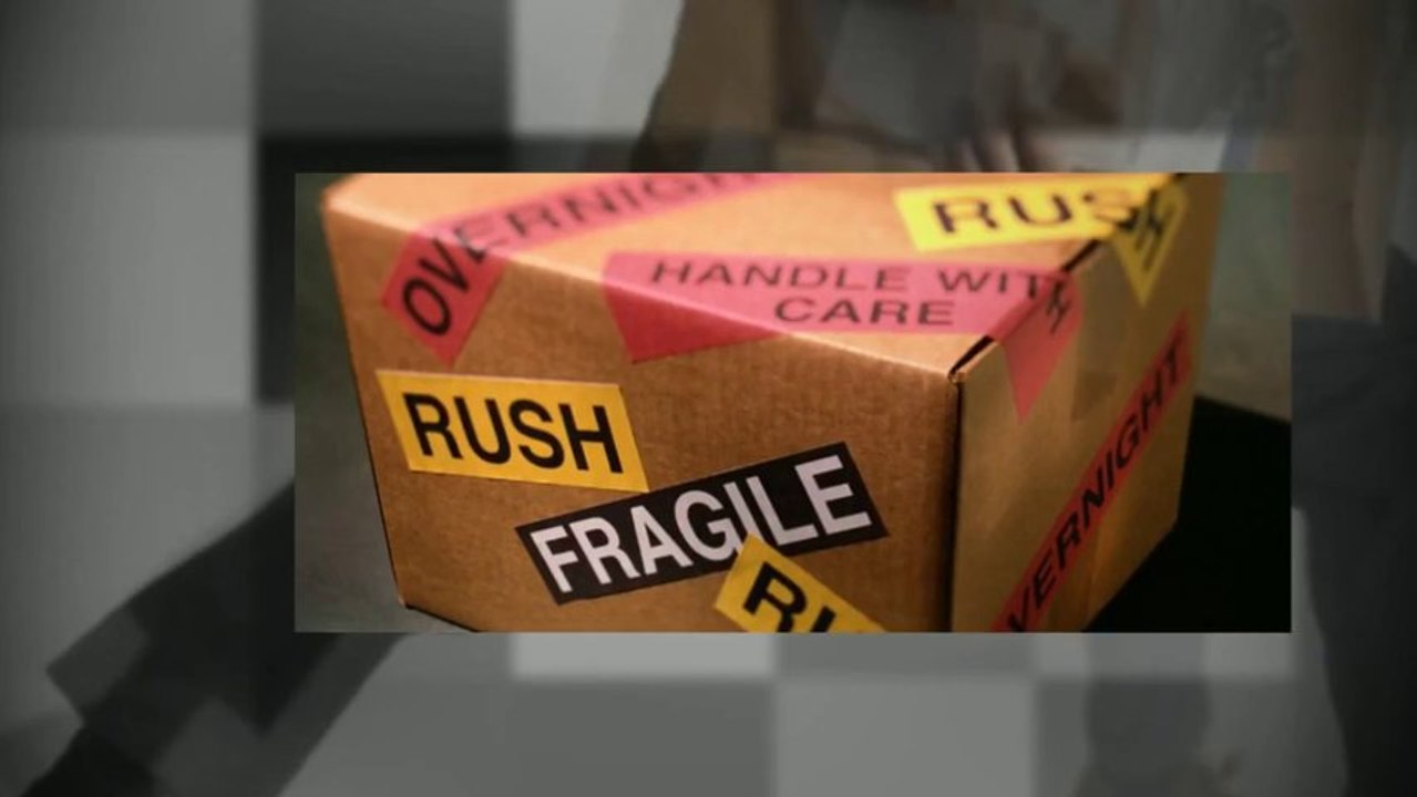 Rush delivery service Florida City - Ultimate Express