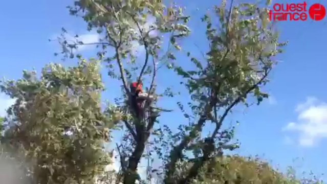 Trente équipes rétablissent l'électr - Tempête Christian