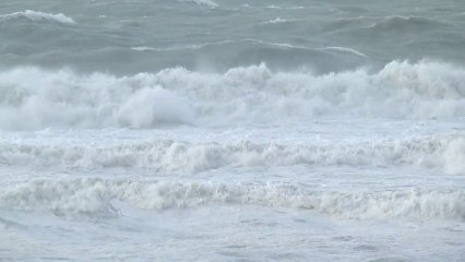 Des vagues et du vent